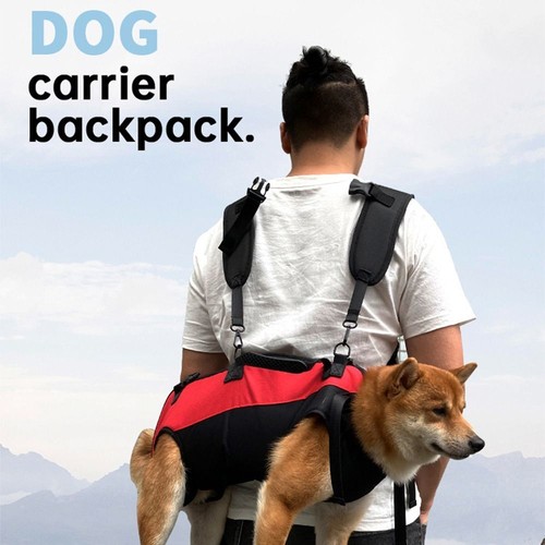 Pet backpack carrier - carrier, small