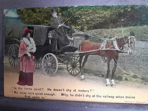 Skinny horse carriage humour - skinny,