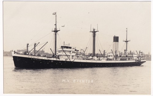 Blue funnel line stentor - blue,