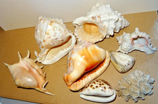 Vintage collection 8 x - a,