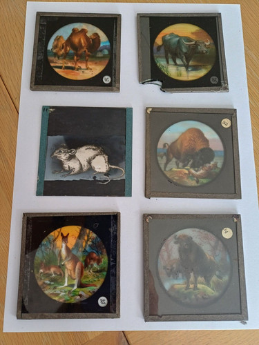 Antique magic lantern slides - lantern,
