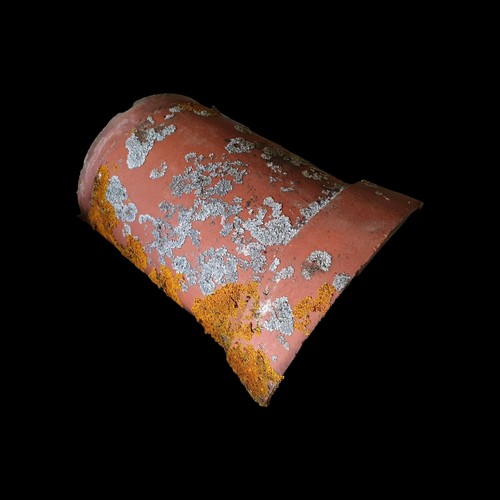 Reclaimed red half round