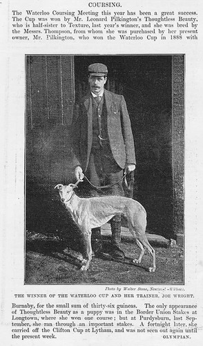 Coursing winner the - of,