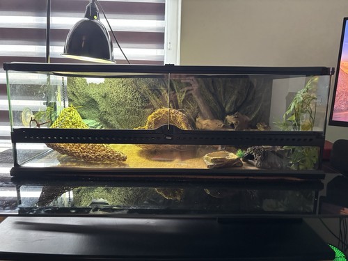 Exo terra terrarium - exo,