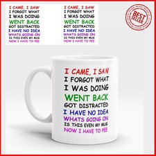 Awesome I CAME I SAW I FORGOT Funny Novelty Birthday Gift Coffee Mug