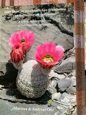 Eine Reise zu mexikanischen