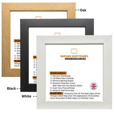 Picture Frame Modern Poster