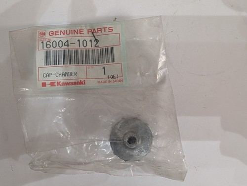 Kawasaki ar80 1989 carburetor - 1989,