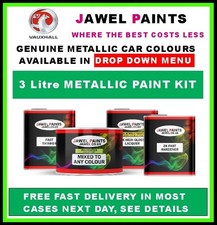 VAUXHALL PAINT ( 3 Litre KIT )