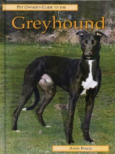 Pet owner guide the - pet, to