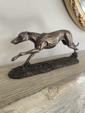 Lovely Greyhound Racing Cold