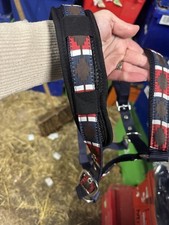Polo Design Horse Head Collars