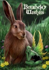 Anne Stokes ~ Hare & Sprite ~ Fairy Pagan Wicca Greetings Card Birthday ~ AN21