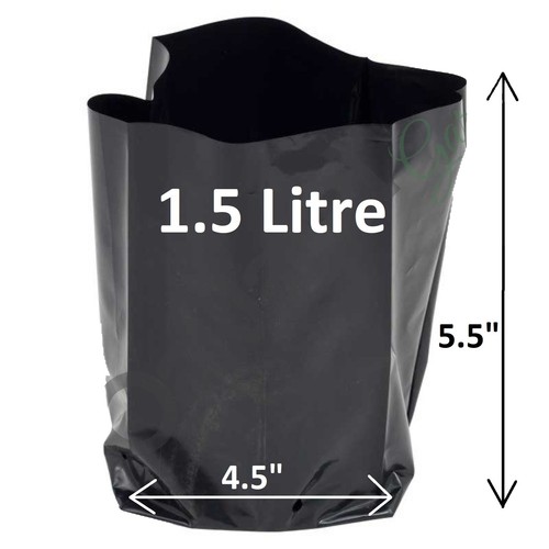 Litre poly plant pots - poly, grow