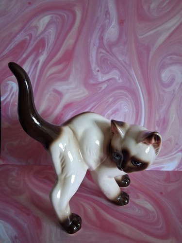 Siamese 1950s cat - siamese,