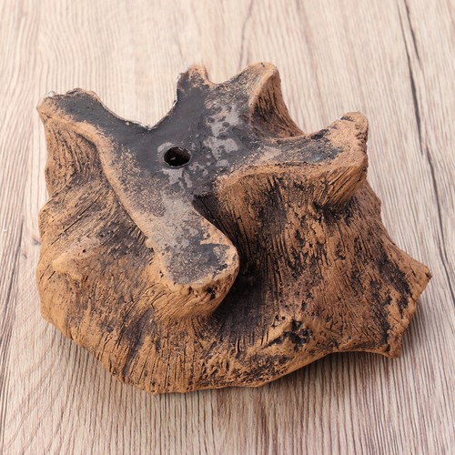 Succulent driftwood planter - succulent,