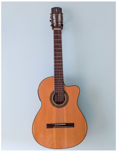 Alvarez cf6ce electro acoustic - alvarez,