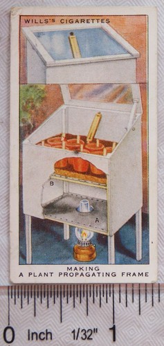 1938 wills garden hints 10 - wills,