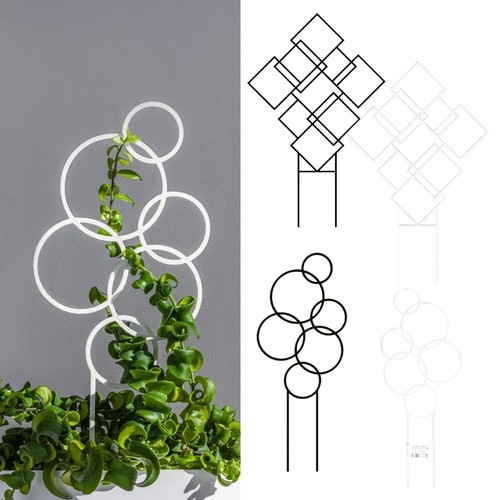 Plant support trellis ladder - support,
