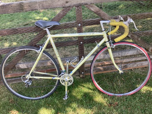 Raleigh trathlon 531 steel - trathlon,