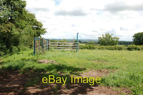 Photo 6x4 collecting yard - photo,