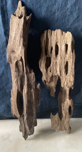 Driftwood two beautiful - -,