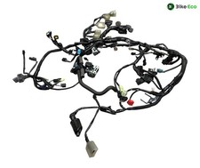 Electric harness Kawasaki Z