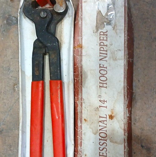 Professional hoof nipper - 14",