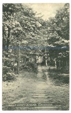 West Down Steps, Chinnor, Oxfordshire. Postcard posted 1908