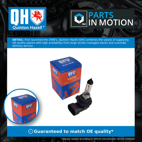 Bulb qbl9006 quinton - bulb, hazell