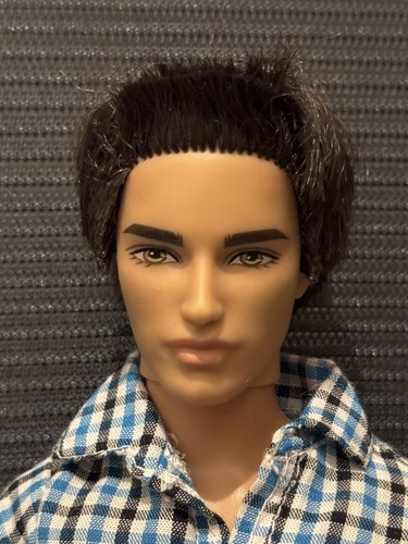 Barbie ken dream house - barbie, ryan