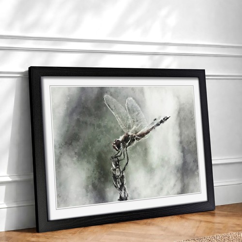 Perched dragonfly framed - dragonfly,