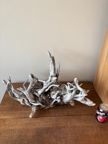 Driftwood piece root tangle - piece,