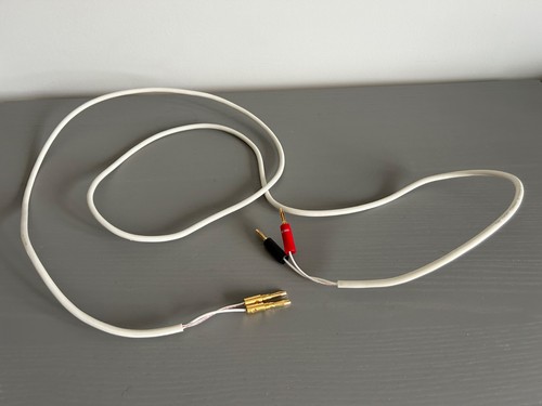 Chord company rumour speaker - rumour,