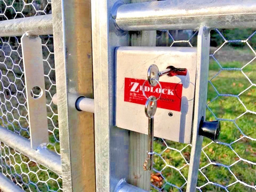 Gate lock zedlock for metal - gate,