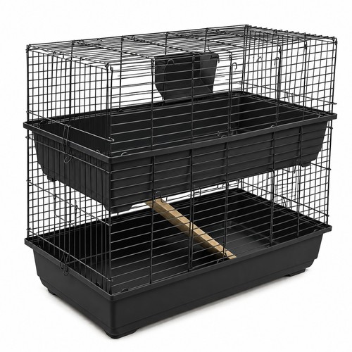 Rabbit guinea pig large - rabbit,