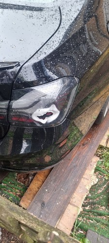 Smoked black tail light - tail,