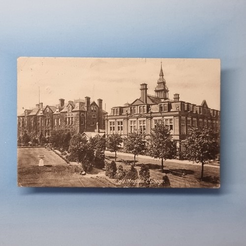 Wellington postcard 1905 - postcard,