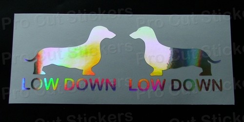 Low down slammed dachshund - slammed,
