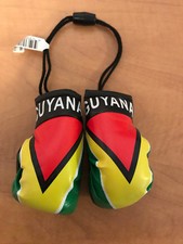 GUYANA MINI BOXING GLOVES FLAG