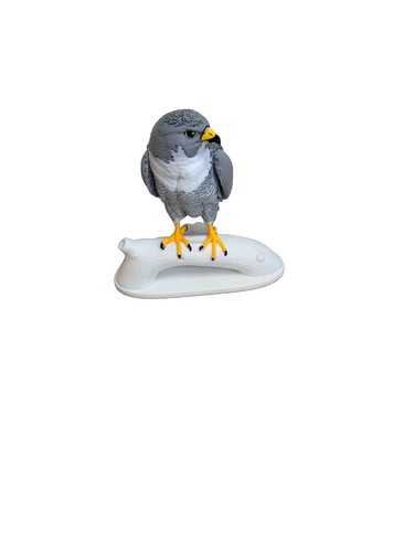 Skyhunter peregrine falcon - skyhunter,