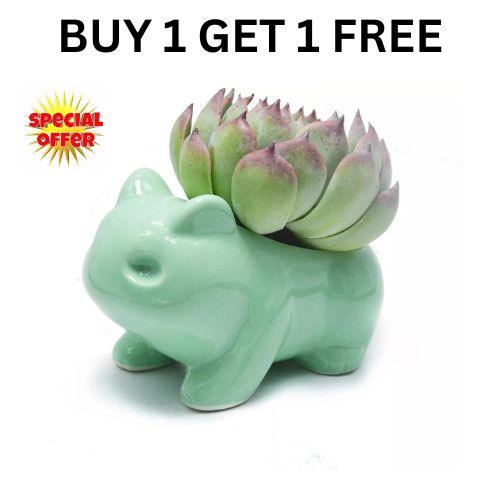 Pokemon planters flower pot - pokemon,