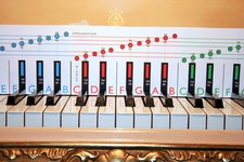 Learn Piano & Keyboard For Beginners Starter book 1 Gift for All Ages 5 -105 yrs