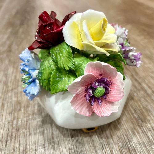 Radnor bone china porcelain - radnor,