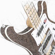 Rickenbacker Bass Guitar Canvas / Poster 3 Sizes Yes Chris Squire