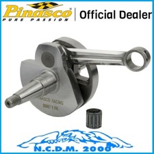 Pinasco 25080887 engine - pinasco,