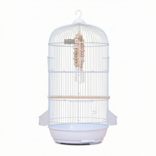 Bird cage with - bird, swing