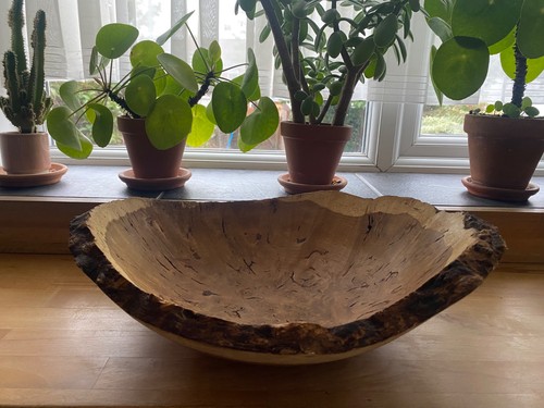 Oak burr bowl local wood - burr,