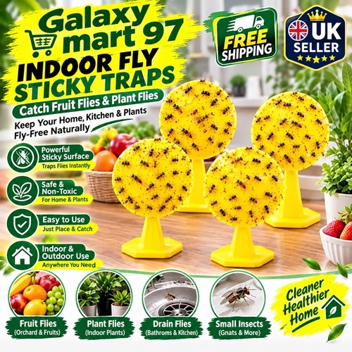 Pack indoor fly sticky - indoor,