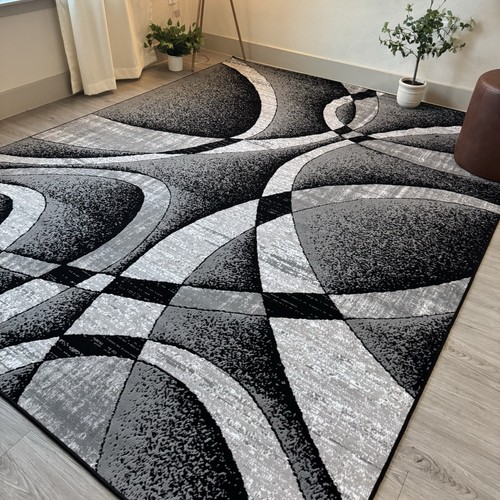 Large contemporary area rugs - large,